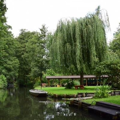 ag真人国际官网手机app下载